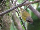 IMG_0096