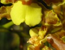 IMG_0619