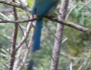 IMG_0641