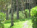 IMG_0692