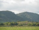 IMG_0718
