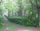 IMG_0779