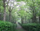 IMG_0781